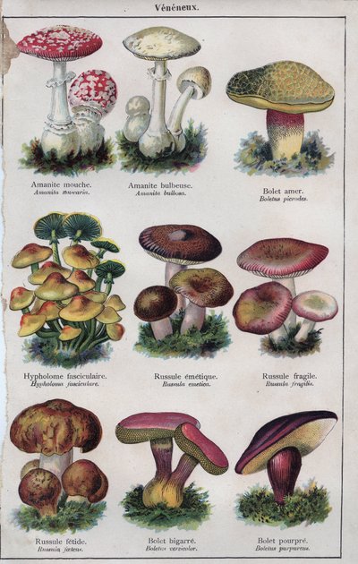 Illustrazione per "Mon docteur - traite de medecine et d