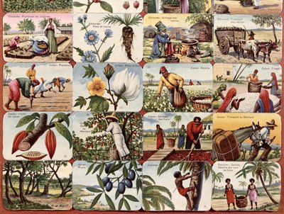 Illustrazione per un libro di testo scolastico francese di vari prodotti delle colonie, c.1920-30 da French School