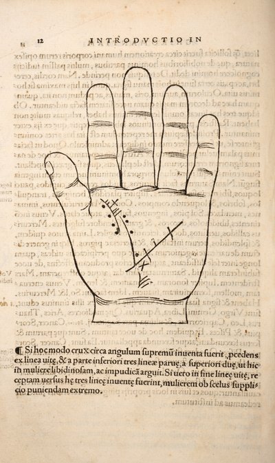Illustrazione da Chiromantia di Joannes Indagioe, Strasburgo, 1531 da French School
