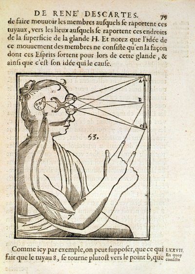 Illustrazione da De Homine Figuris di René Descartes (1596-1650) pubblicata a L