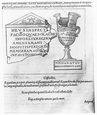 Illustrazione da 