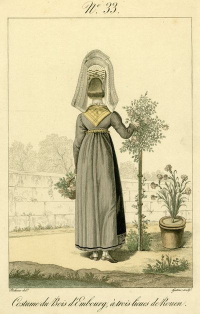 Illustrazione n. 33, Costume di Bois d
