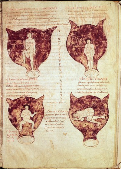 Illustrazioni del feto, dal cosiddetto manoscritto Rhodion da French School