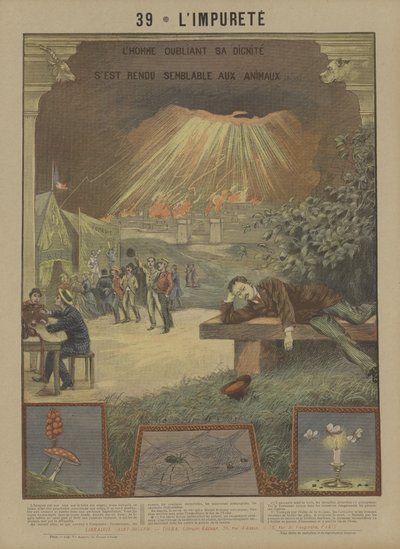 Impurità da French School