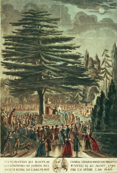 Inaugurazione del busto di Carl Linnaeus (1707-78) nel Jardin des Plantes, sotto il Cedro del Libano che piantò nel 1646, 23 agosto 1790 da French School