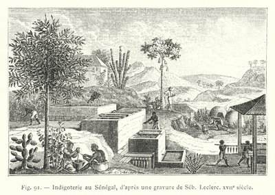 Indigoteria in Senegal, da un