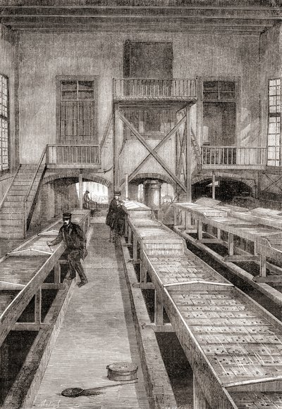 Interno di un allevamento ittico del XIX secolo a Huningue, Francia, da Les Merveilles de la Science, pubblicato c.1870 da French School