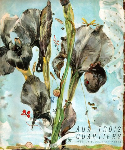 Iris (fiore). (Illustrazione, circa 1920) da French School