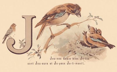 J: Giovani ghiandaie carine sono giocatori e felici Jolily! da French School