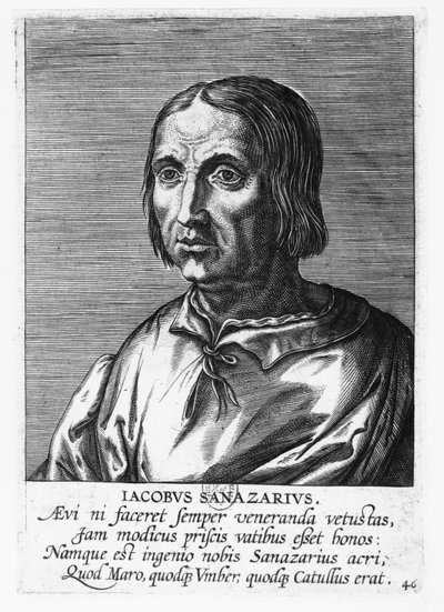 Jacopo Sannazaro (incisione) da French School