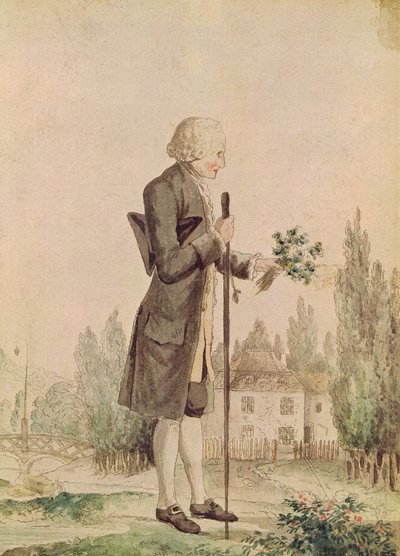 Jean-Jacques Rousseau raccoglie erbe a Ermenonville da French School