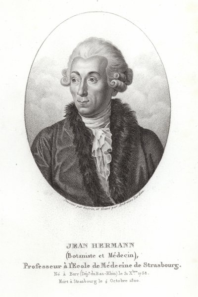 Jean Hermann da French School