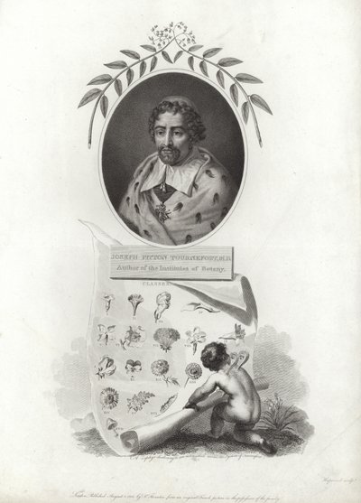 Joseph Pitton de Tournefort da French School