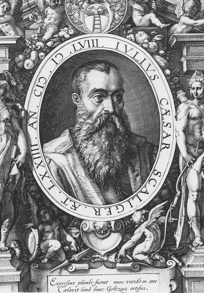 Julius Caesar Scaliger (incisione) da French School