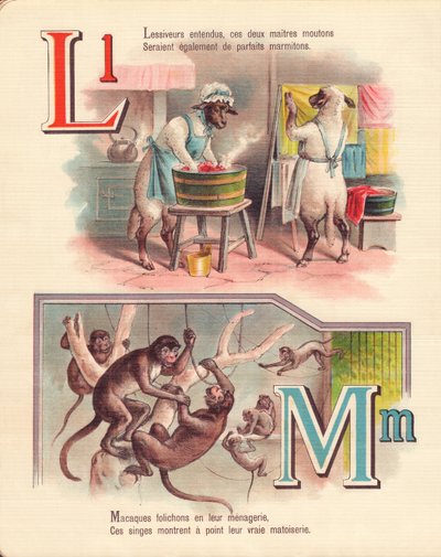 Agnello, lavanderia, scimmie, menagerie da French School
