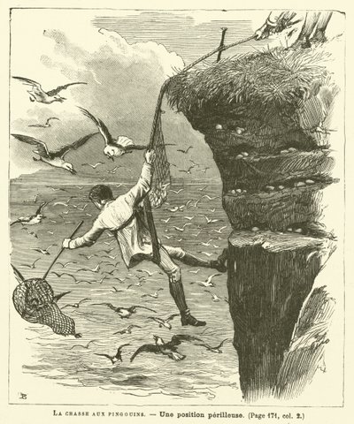 La Chasse Aux Pingouins da French School
