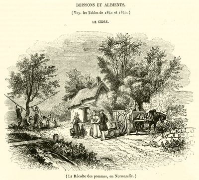 La raccolta delle mele, in Normandia da French School