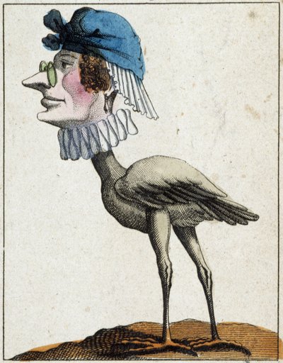 La cicogna in caricatura, studio del carattere “carattere volatile” sd. XIX secolo, immaginario popolare. da French School