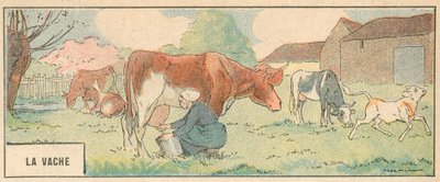 La Mucca da French School