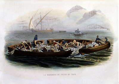 La madrague o pesca del tonno - in "Histoire naturelle de Lacépède" da French School