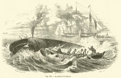 La pesca alla balena da French School
