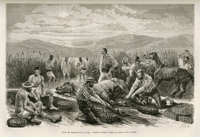 La pesca delle sanguisughe, disegno di Sahib, per illustrare il racconto di Henri Belle: Viaggio in Grecia da French School