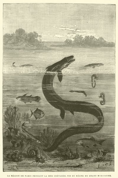 La Regione di Parigi durante il Mare Cretaceo, Fine del Regno del Grande Mosasauro da French School