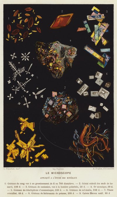 Il microscopio, applicato allo studio dei minerali (litografia a colori) da French School