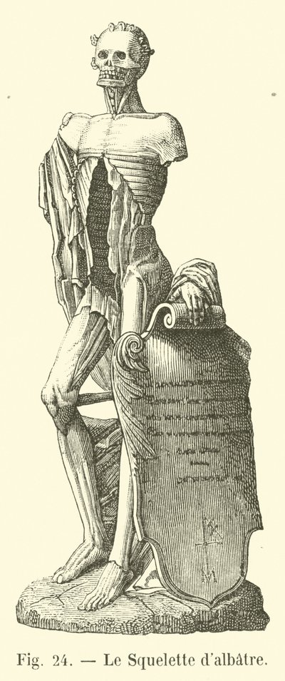 Lo Scheletro d