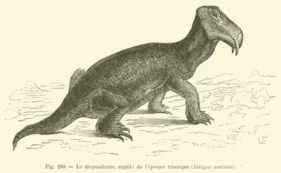 Il Dicynodonte, Rettile dell