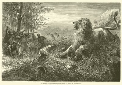 Il dottor Livingstone abbattuto da un leone da French School
