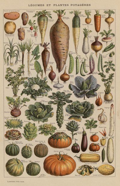 Legumi e piante da orto da French School