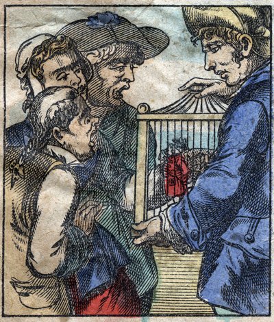 Lemuel Gulliver, in una gabbia, viene mostrato ai giganti di Brobdingnag. Illustrazione per "I viaggi di Gulliver" di Jonathan Swift (1667-1745). Imaging Epinal fine XIX secolo da French School