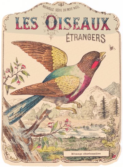 Les Oiseaux Étrangers: copertina dell