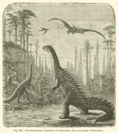 I Dinosauri, Stegosauro e Compsonote, in un Paesaggio di Araucarie da French School