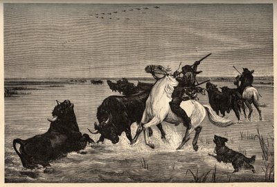 I buoi (razza bovina) della Camargue secondo il dipinto di Vayson - incisione in "PATRIE" - DESCRIZIONE PITTORESCA DELLA FRANCIA IN 6 VOLUMI DI LUCIEN HUARD - fine XIX secolo da French School