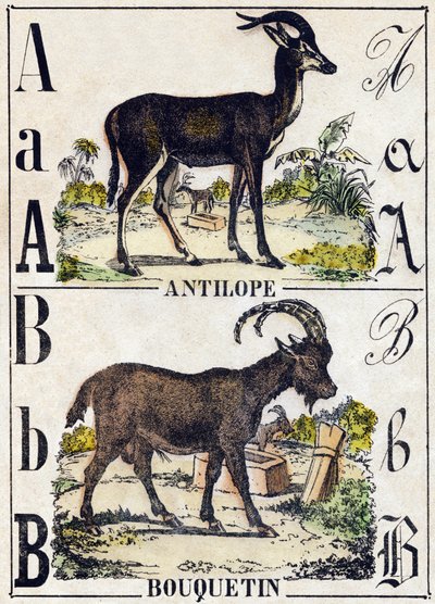 Lettera A Antilope; B Stambecco. Incisione in "Alfabeto degli animali selvatici". 9a Serie. Imagerie d