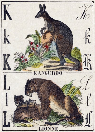 Lettera K L; K Canguro; L Leonessa. Incisione in "Alfabeto degli animali selvatici". 9a Serie. Imagerie d