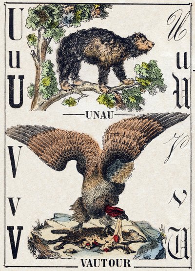 Lettera U Unau (pigro); V Avvoltoio. Incisione in "Alfabeto degli animali selvatici". 9a Serie. Immagini di Epinal, Pellerin, stampatore-editore, circa 1870. Incisioni su legno, stencil. 16 pagine. Dim: 20 x 15 cm. Collezione Privata da French School