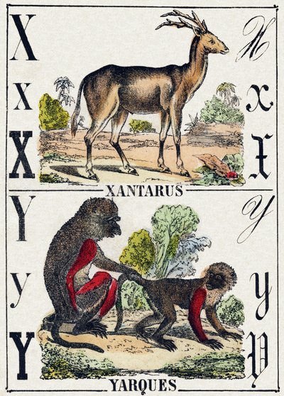 Lettera X Xantarus; Y Yarques da French School