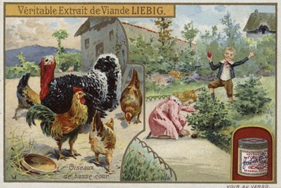 Carta Liebig con pollame da French School
