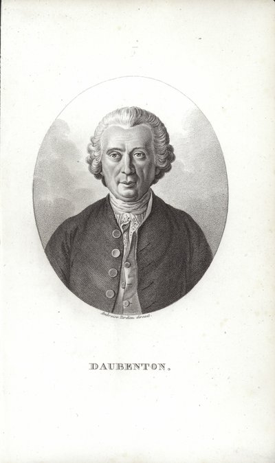 Louis-Jean-Marie Daubenton da French School