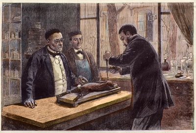 Louis Pasteur (1822-1895), chimico e microbiologo francese, sperimenta su un coniglio cloroformizzato durante la sua ricerca di una cura per la rabbia da French School