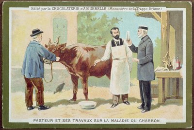 Louis Pasteur (1822-95) che indaga sull