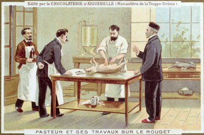 Louis Pasteur (1822-95) che lavora sull