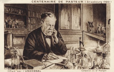 Louis Pasteur da French School