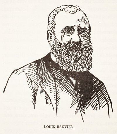 Louis Ranvier da French School