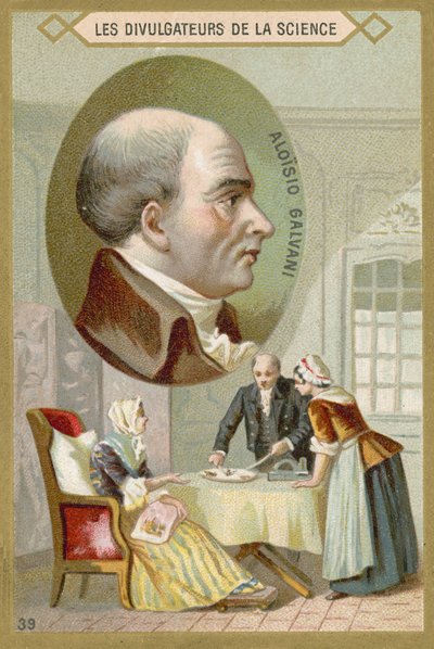 Luigi Galvani da French School