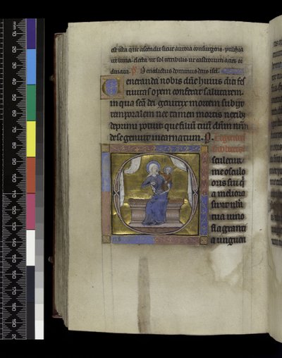 Cantico dei Cantici, dal Salterio e Ore di Isabella di Francia, Parigi, c.1265-70 da French School