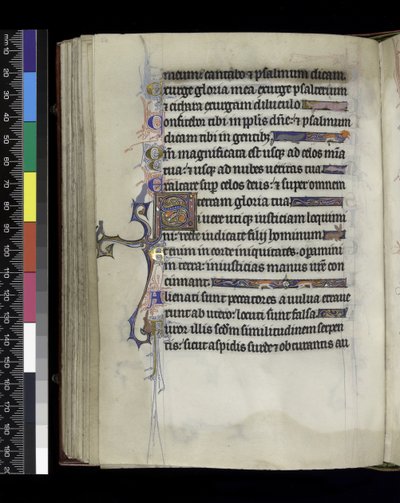 MS 300 f.61v, foglio dal Salterio e Ore di Isabella di Francia, Parigi, c.1265-70 da French School